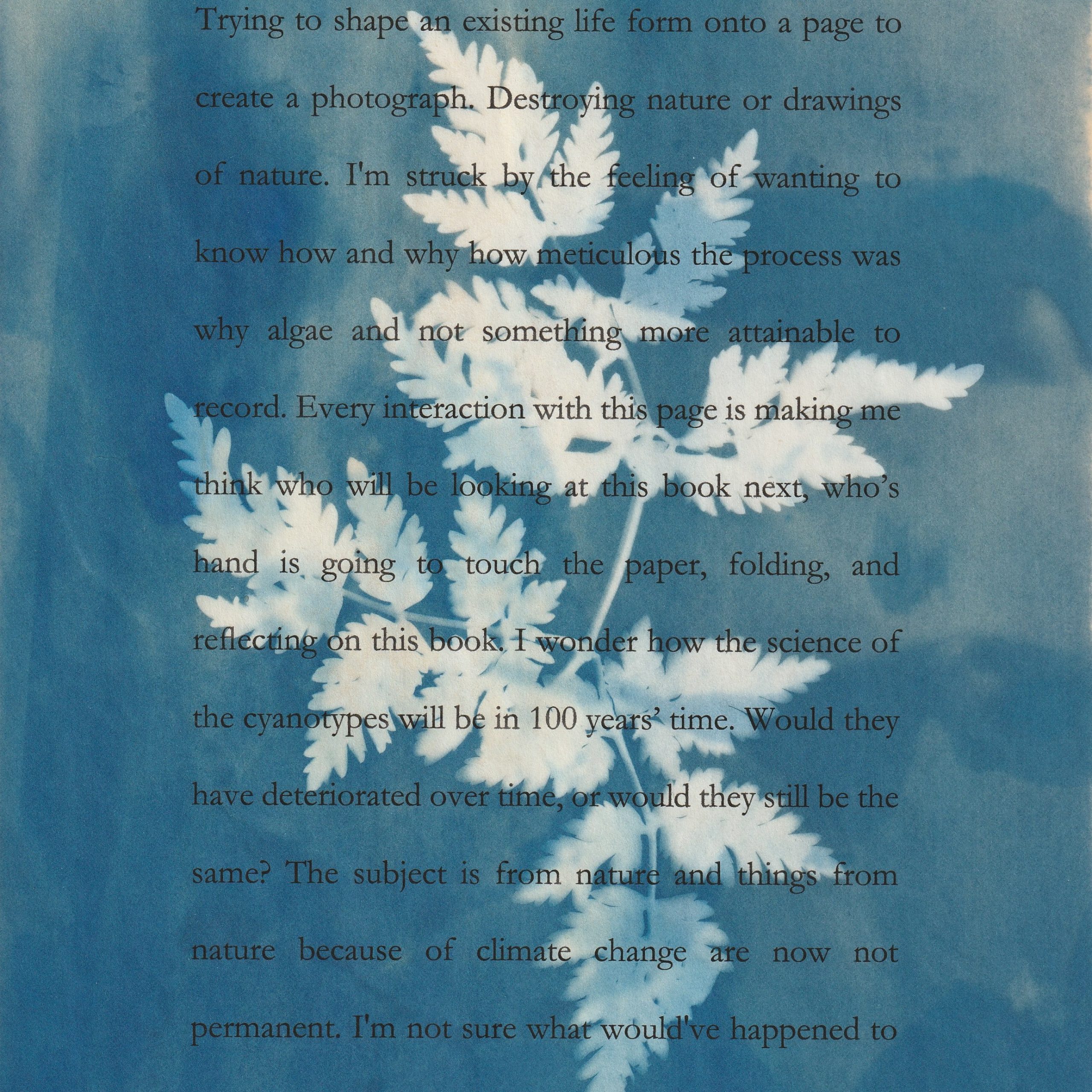 Marie Smith, Extraction_ In Conversation with Anna Atkins, 2023, Image Courtesy of the Artist