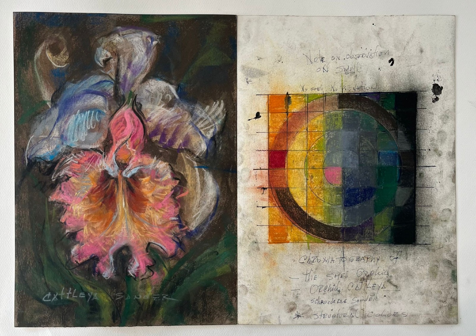 Diptych, Chromatography smell of orchid Cattleya