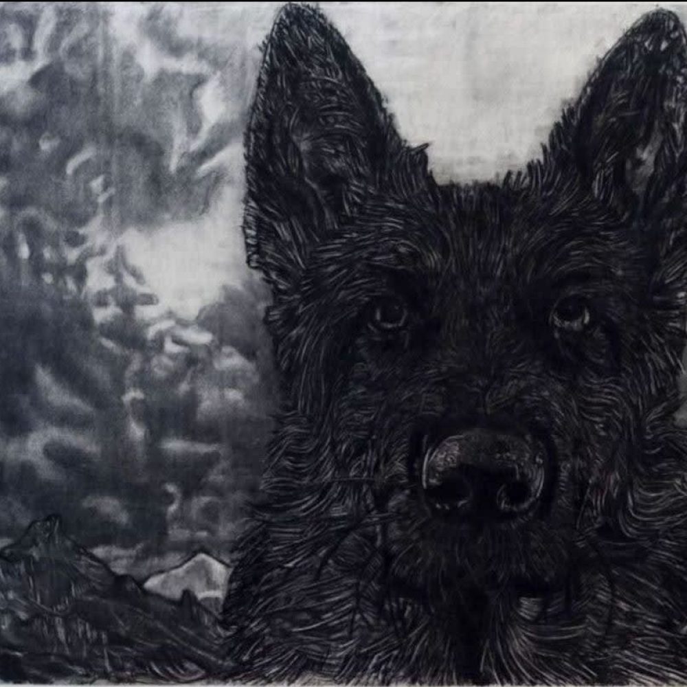 Gary Coyle, Black Dog, 2020, Charcoal on paper, 150 x 180cm © The Artist
